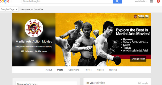 Martial Arts Action Movies on Google